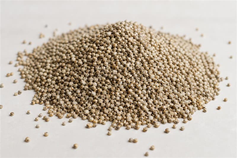 Bajra (Pearl Millet)