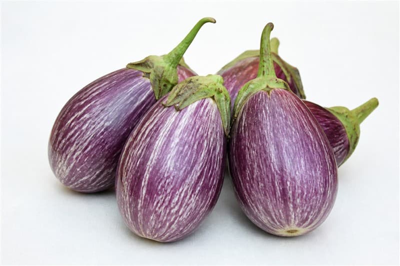 Brinjal (Eggplant)