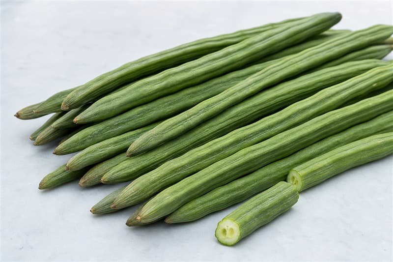 Drumstick (Moringa)