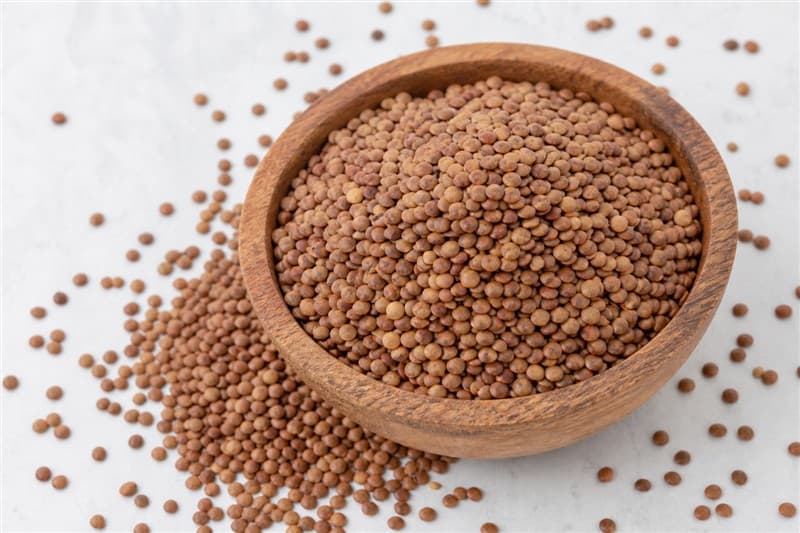 Horse Gram (Kulthi)