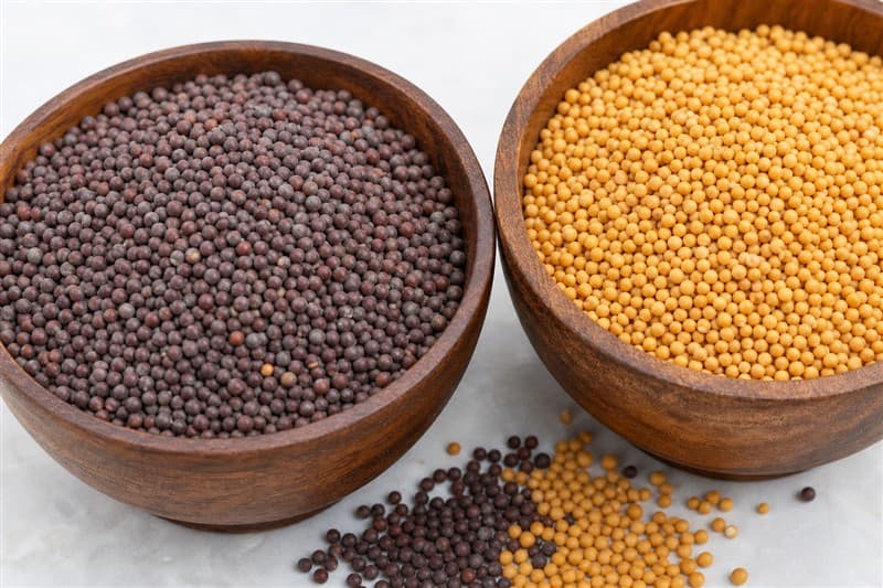 Mustard Seed