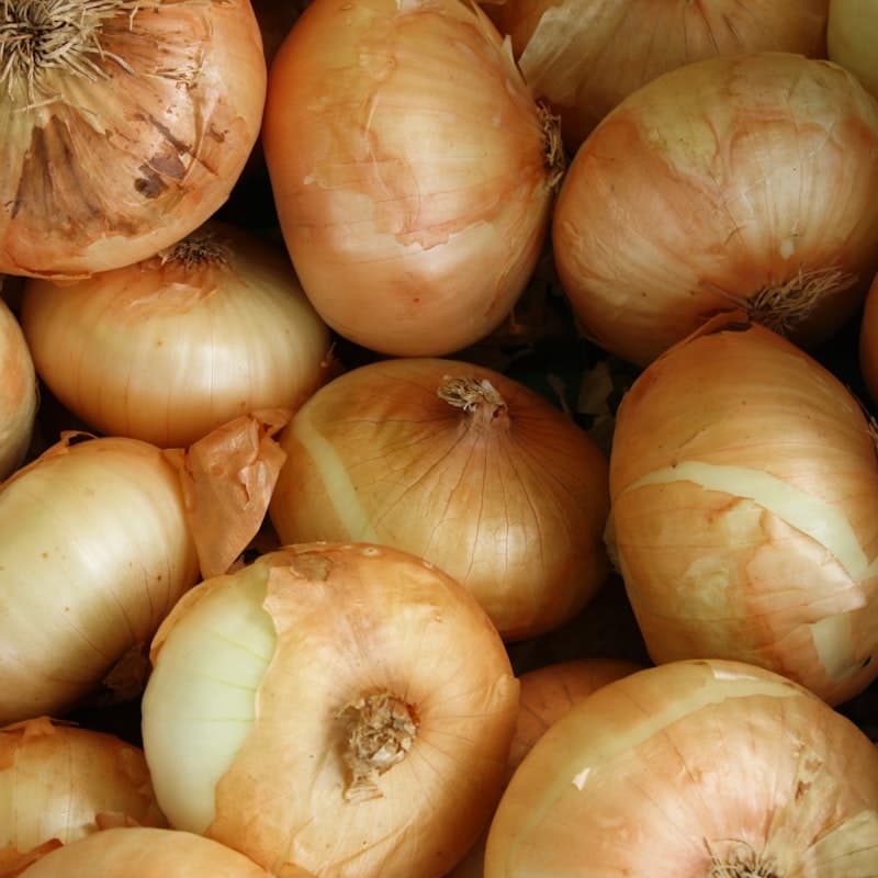 Onion