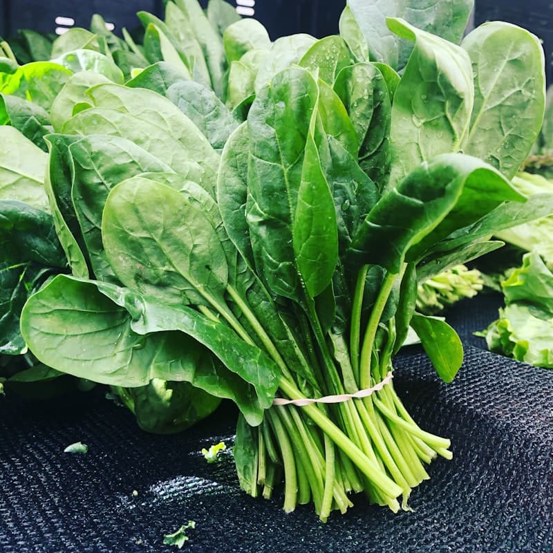 Spinach / Palak
