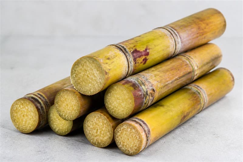 Sugarcane