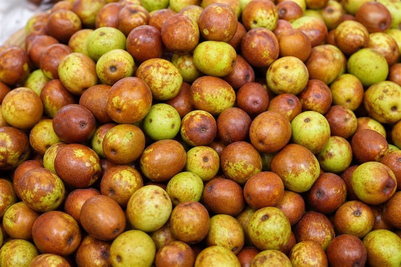 Ber (Indian Jujube)