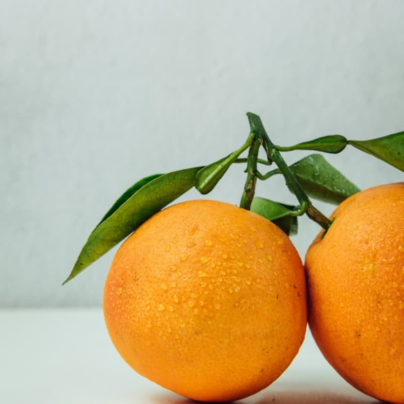 Orange / Santra